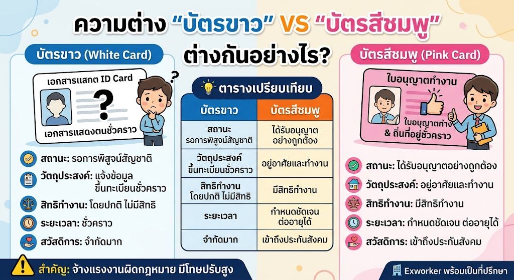 ບັດຂາວ vs ບັດສີບົວ ແຕກຕ່າງກັນແນວໃດ ນາຍຈ້າງຕ້ອງຮູ້