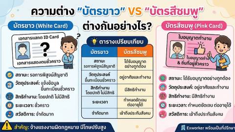 บัตรขาว vs บัตรชมพู ต่างกันอย่างไร นายจ้างต้องรู้